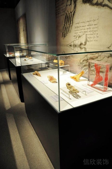深圳博物館裝修設計
