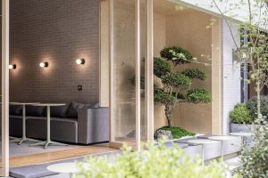 中式簡約風(fēng)飲品店櫥窗里的綠植裝修效果圖